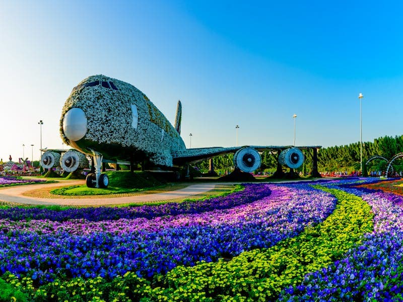 Ingresso para o Dubai Miracle Garden